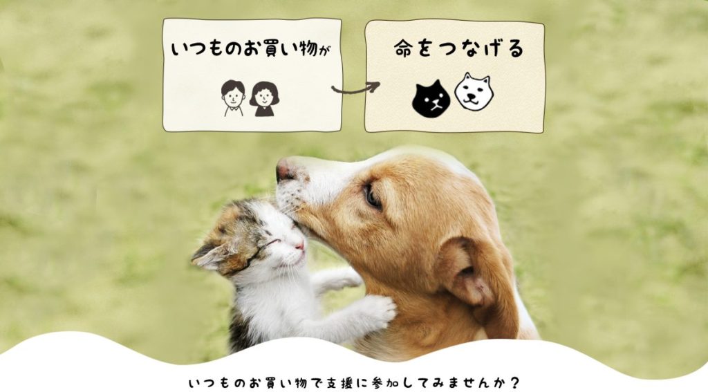 動物の寄付のおすすめは？自分用のペット用品を買うだけでも大丈夫？サムネイル