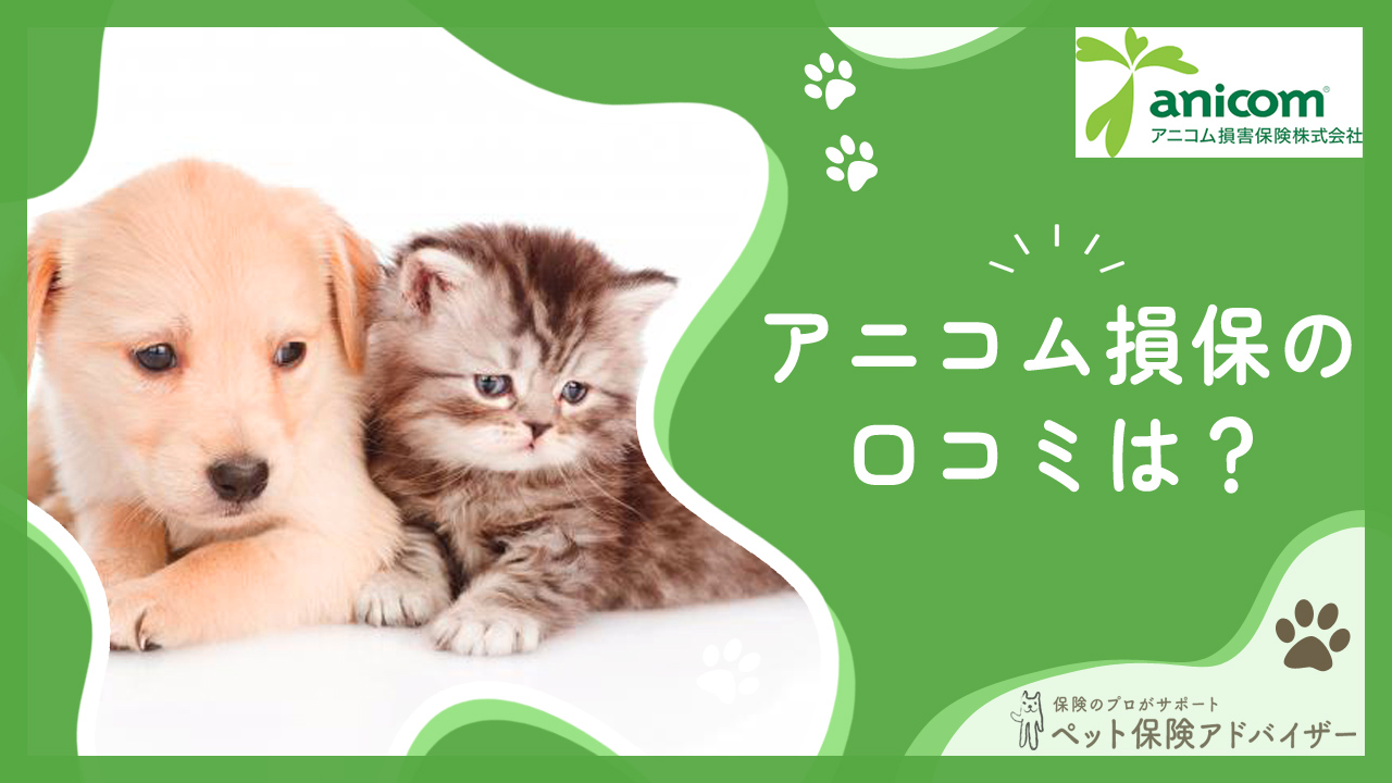 ペット保険のアニコムの口コミは？デメリットについても徹底解説！ | ペット保険アドバイザー