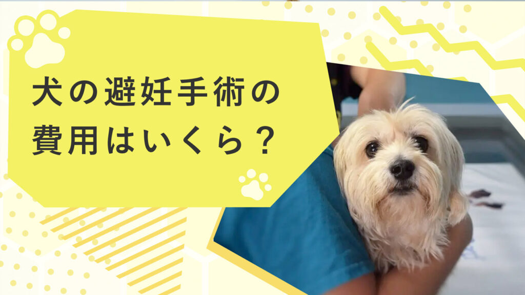 犬の避妊手術の費用の相場はいくら？オス・メスの違いはある？サムネイル