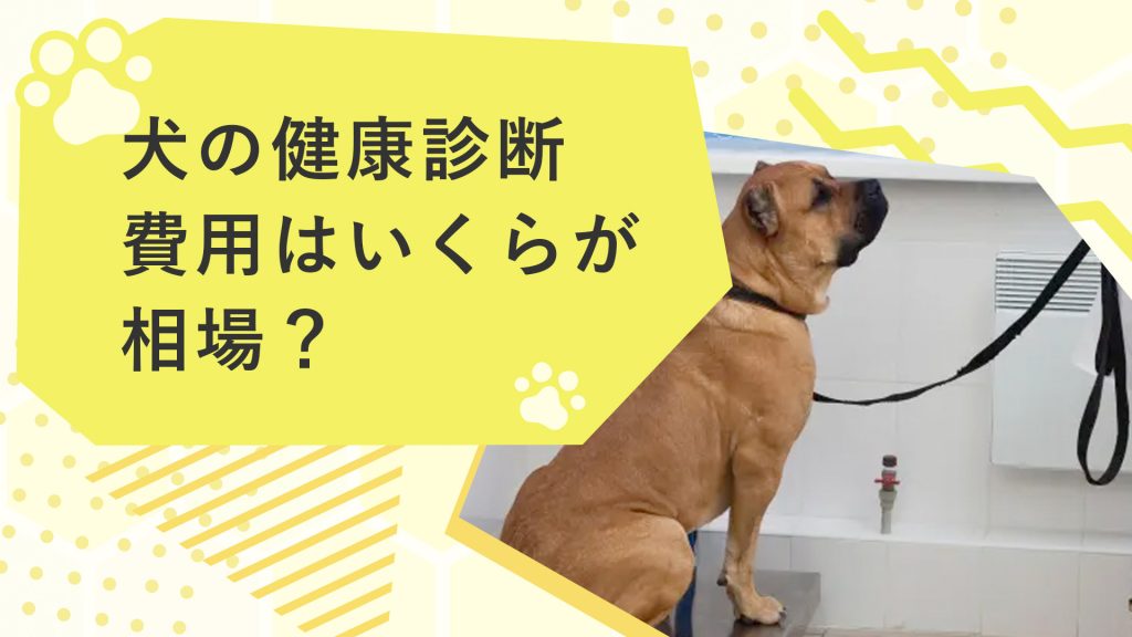 犬の健康診断費用はいくらが相場？年齢・頻度・検査項目も解説！サムネイル